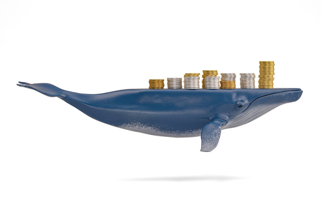 Bitcoin Whale on white background with a large collection of coins on it's back.
