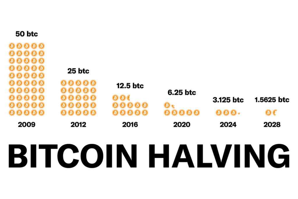popular cryptocurrency and digital blockchain currency bitcoin halving concept. A Bitcoin halving cuts the rate at which new bitcoins are released into circulation in half.