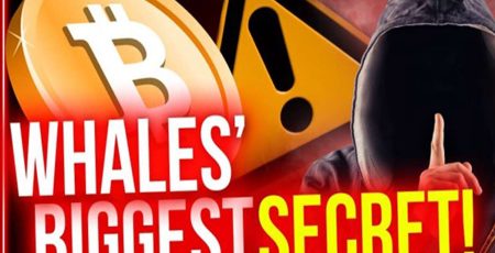 Whale's biggest crypto and blockchain secrets.